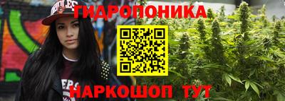 молекула духа Краснодар